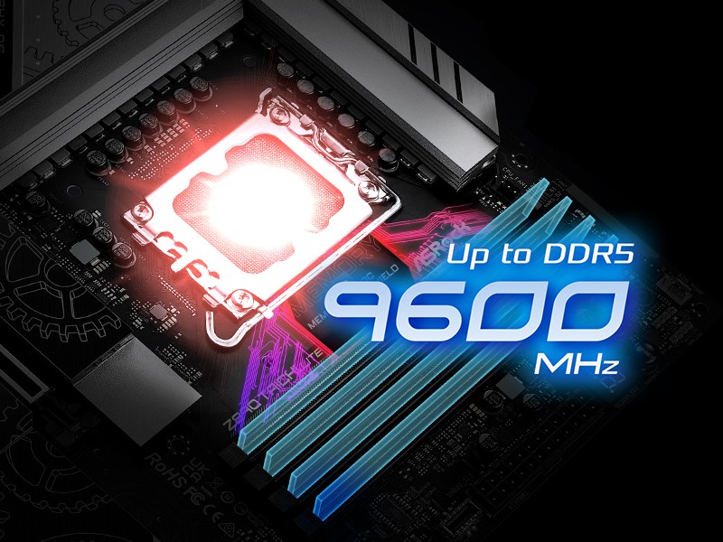 DDR5 XMP & EXPO Support